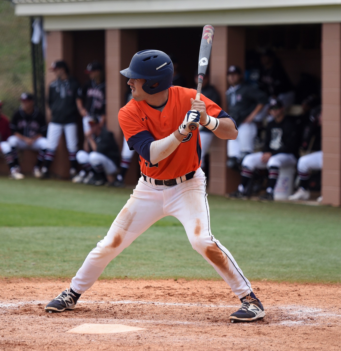 2018 Carson-Newman Baseball Outfielders Position Preview