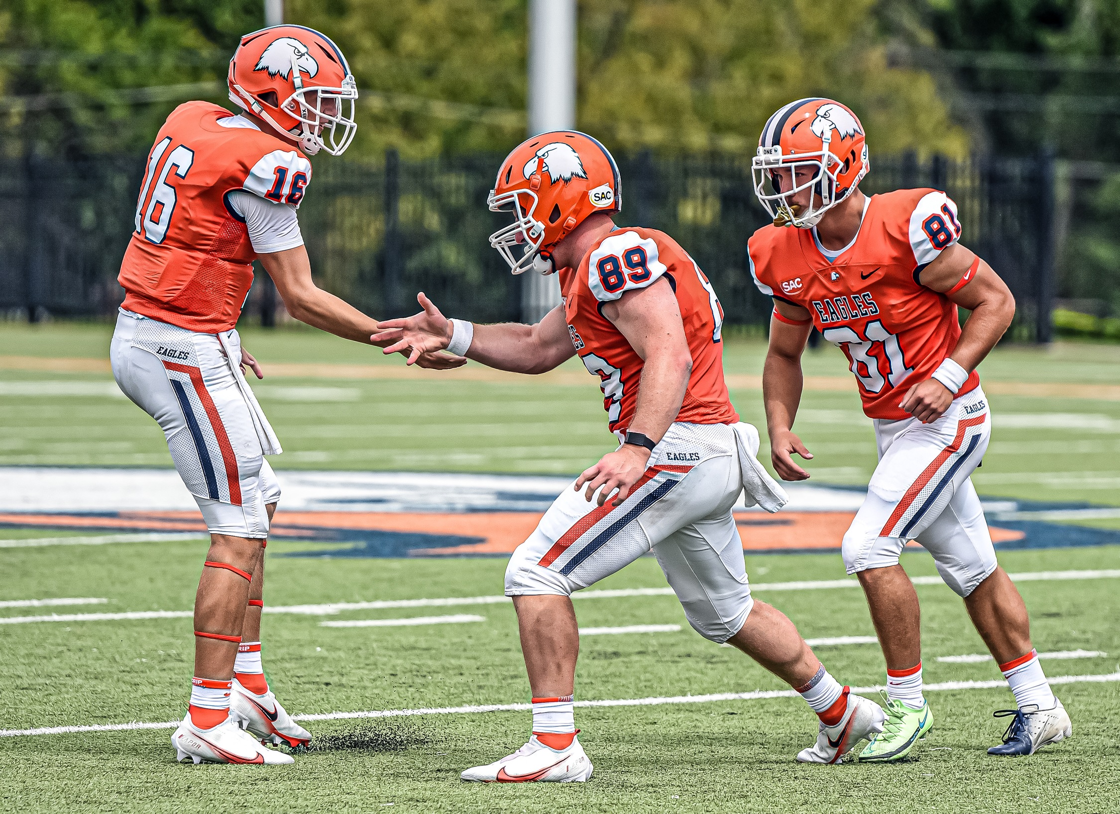 Carson-Newman Football Position Previews: The Specialists