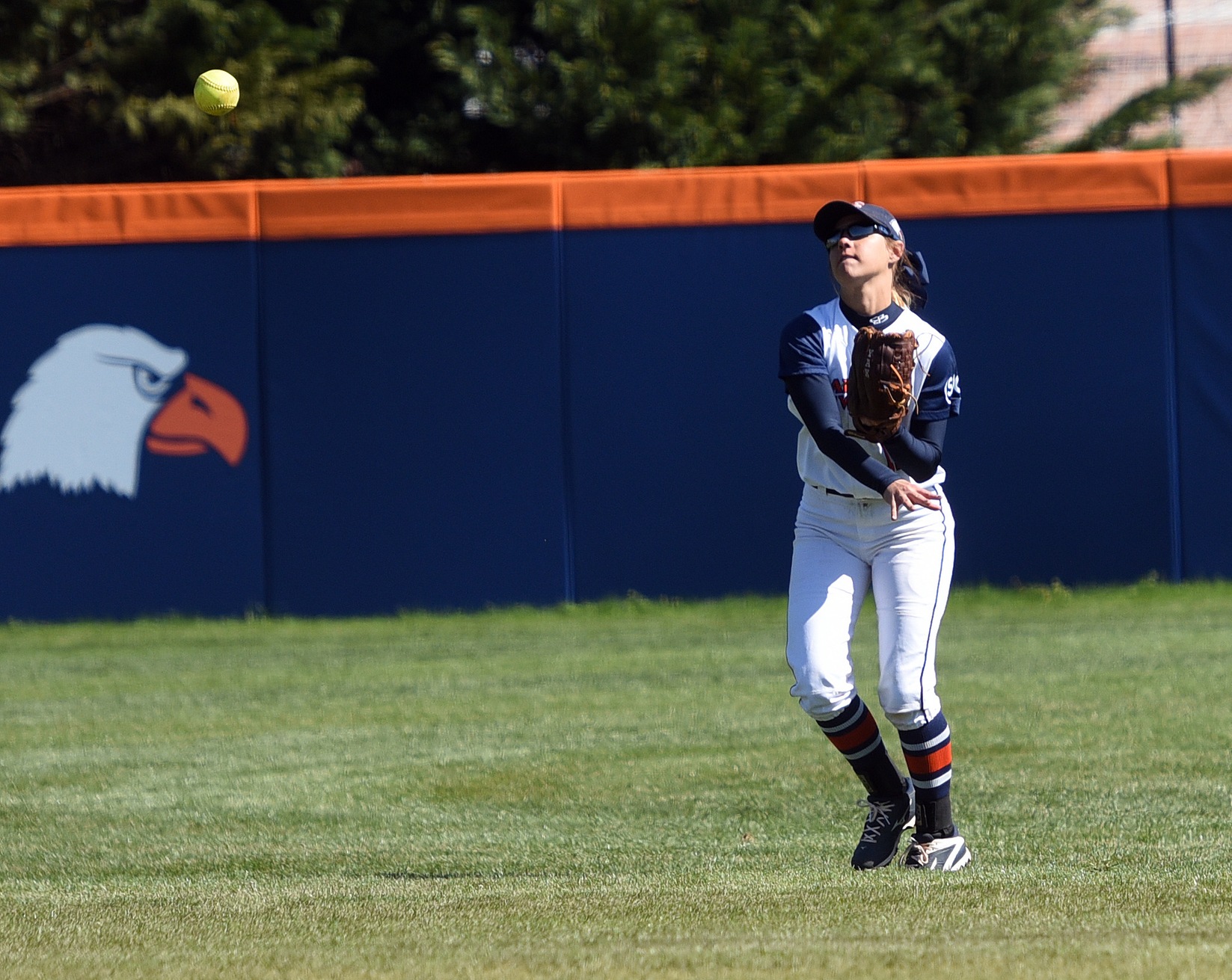 Carson-Newman Softball Position Previews: The Outfield