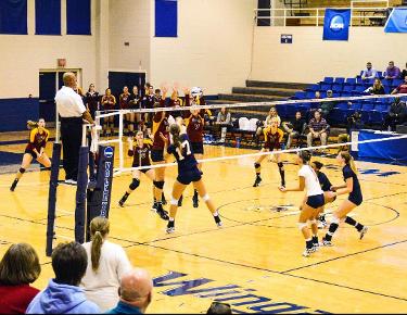 Carson-Newman Volleyball: Outside Hitters Preview