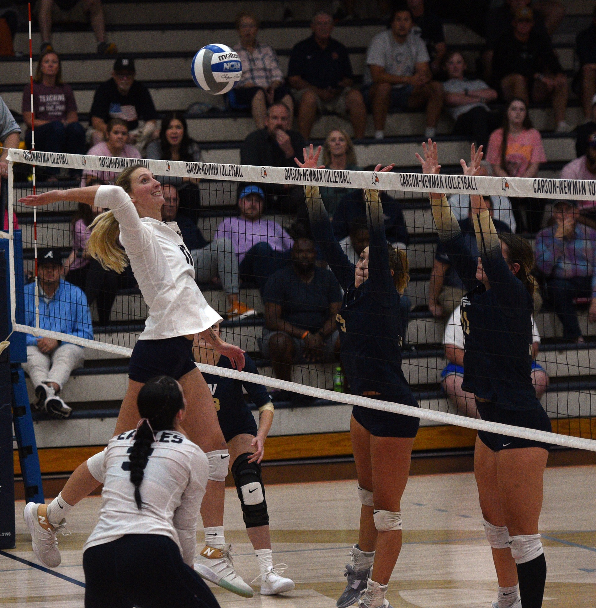 Volleyball looks to defend Holt against Cavaliers