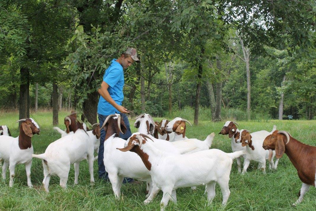 Noted goat farmer Williams nominated for Allstate NABC Good Works team