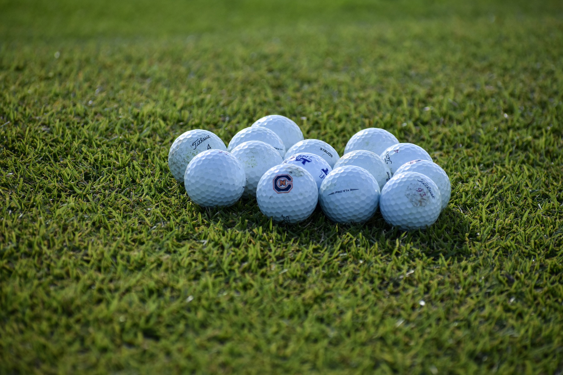 Cummins, Holland pace Eagles competing in Tennessee Women's Amateur