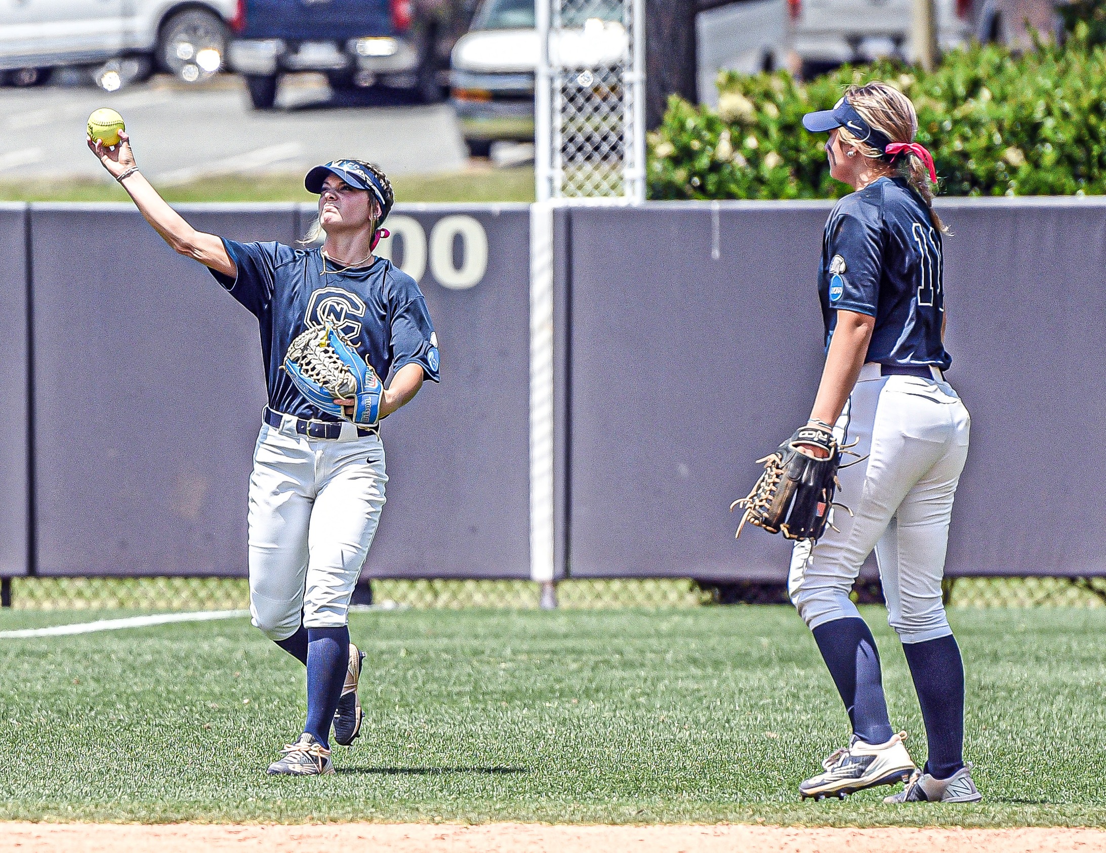 Carson-Newman Softball Position Previews: The Outfield