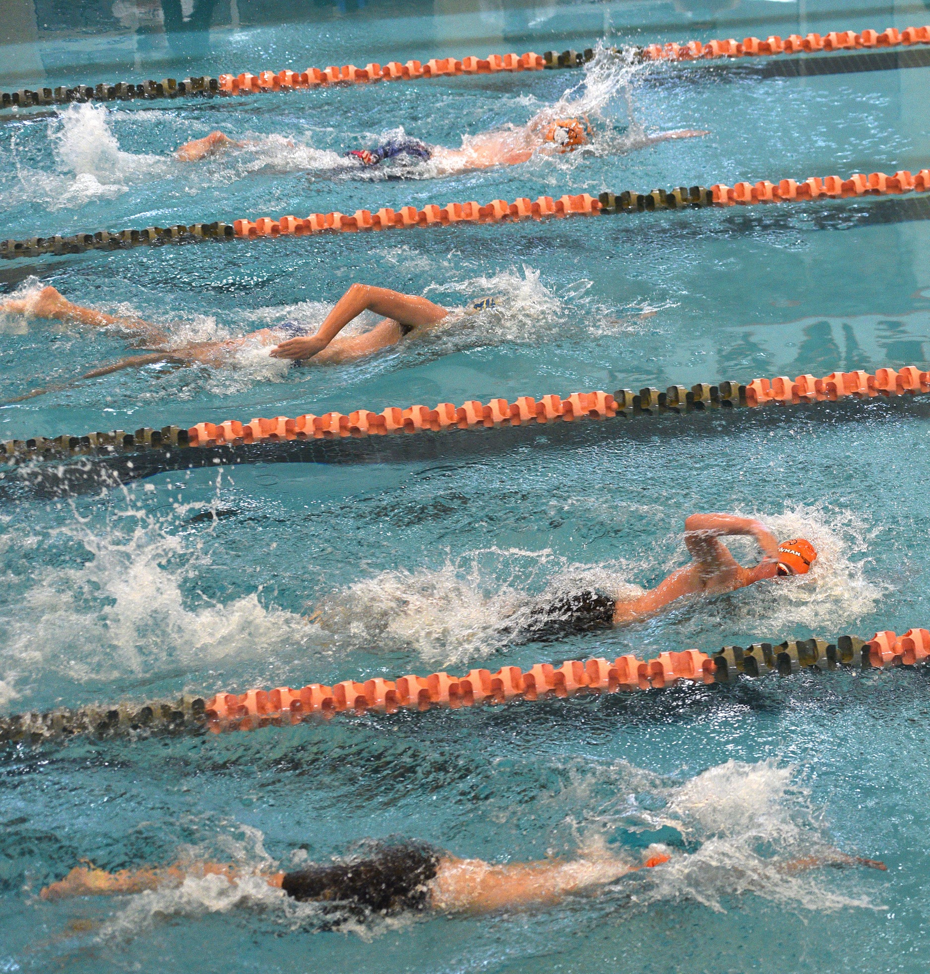 Carson-Newman Swim brings home gold from the Upstate Splash