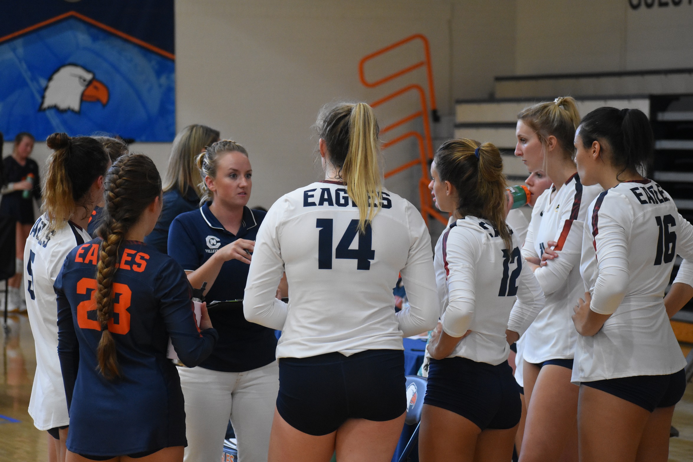 Eagles Bring In 10 New Faces to Volleyball Roster