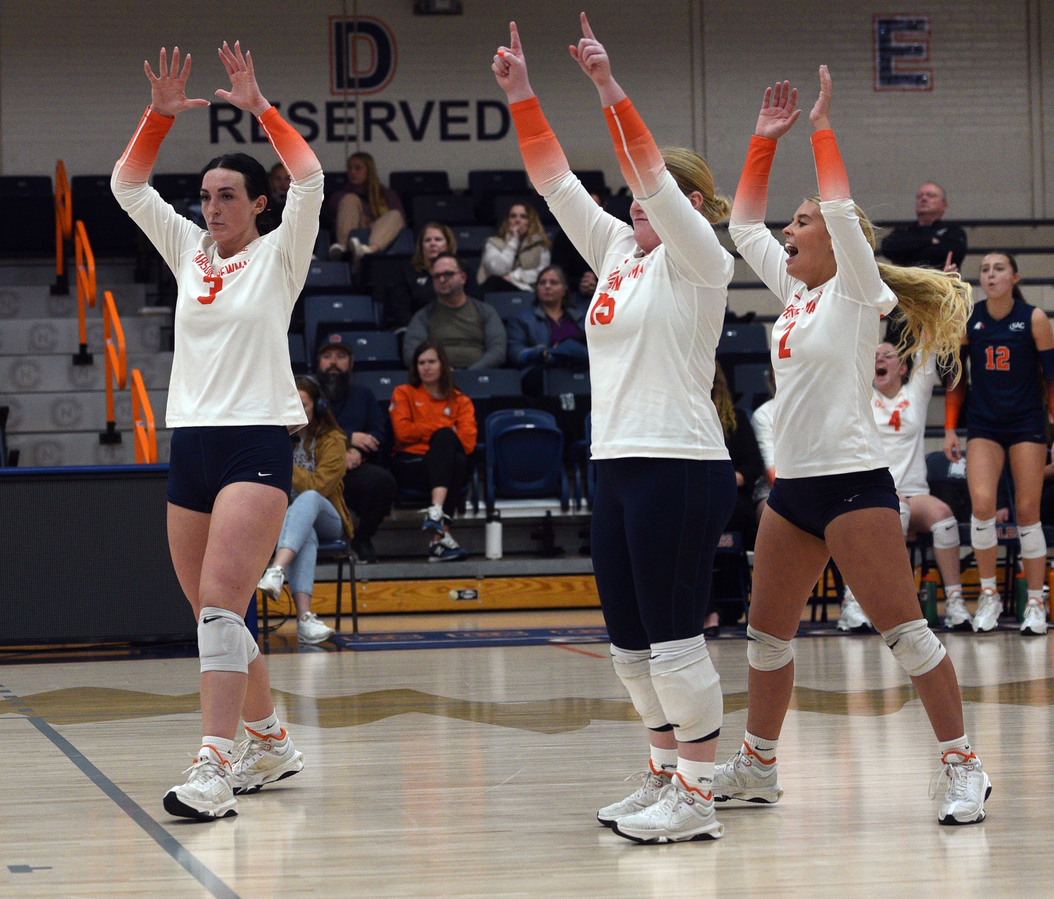 Carson-Newman Volleyball Releases Top Ten Plays of 2024